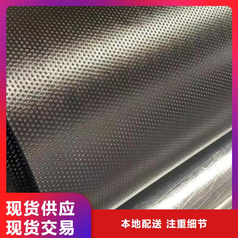 2025土工膜生产厂家