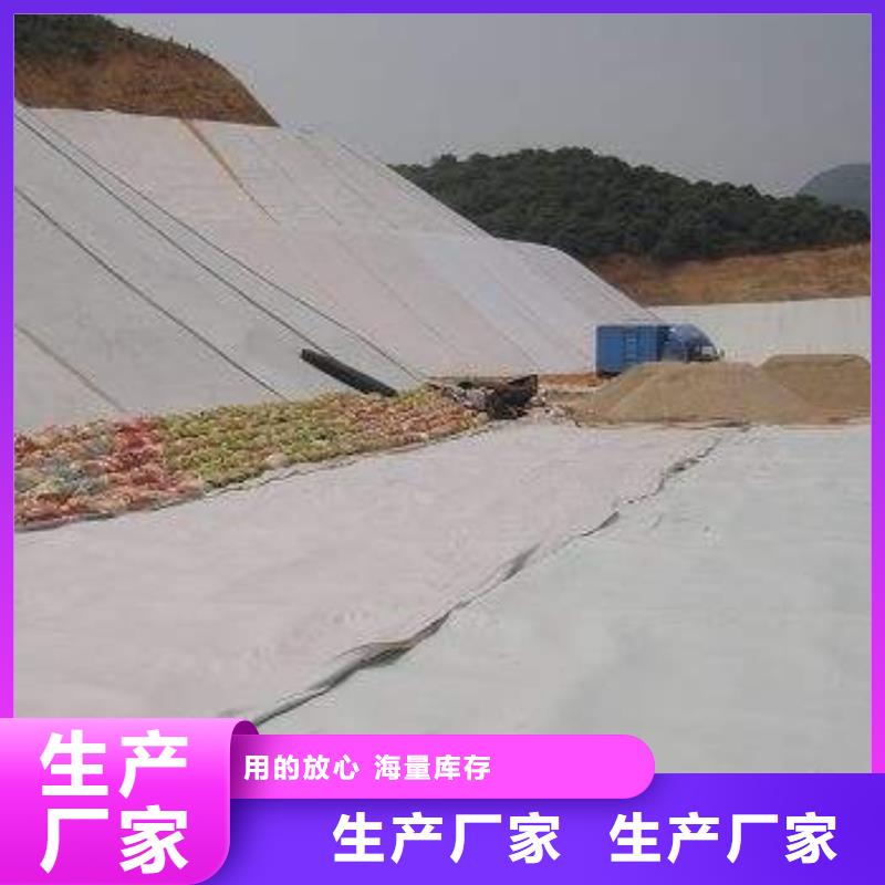 防渗膜土工膜批发,专业土工膜报价