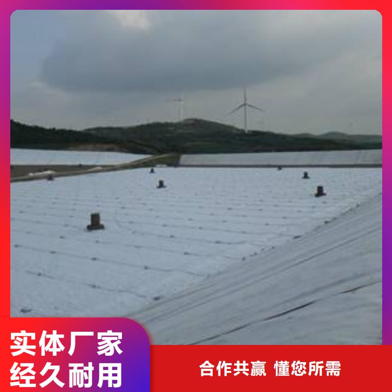 防渗膜土工膜批发,专业土工膜报价