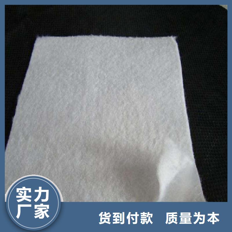 复合土工膜_绿色环保_质量稳定可靠
