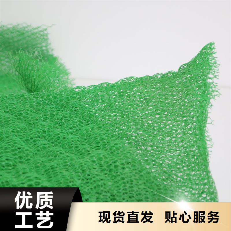 屯昌县三维植被网-HDPE防渗膜价格_土工格室厂家批发_土工膜生产厂家