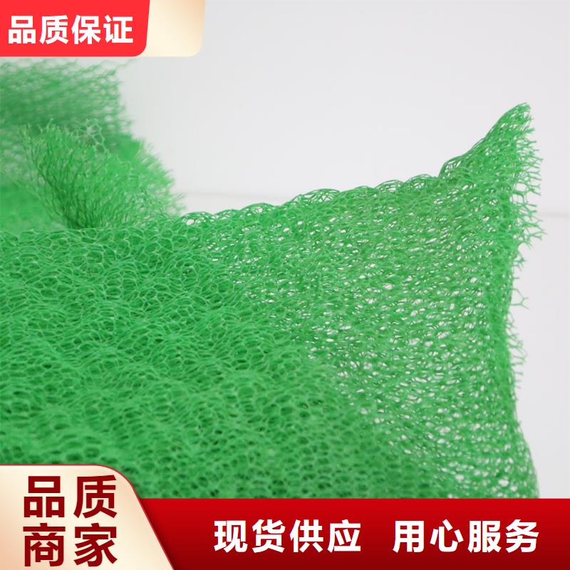 三维植被网PP焊接土工格栅欢迎新老客户垂询