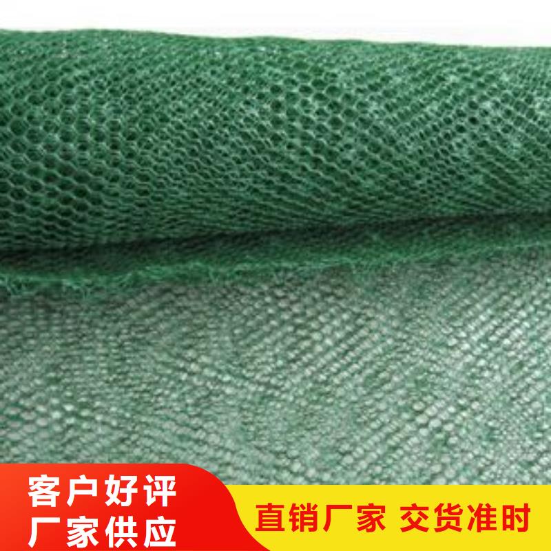 三维植被网双向塑料土工格栅一站式供应