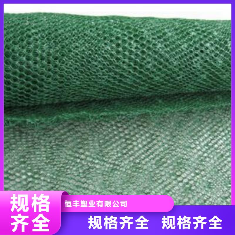 三维植被网,土工滤网工厂自营