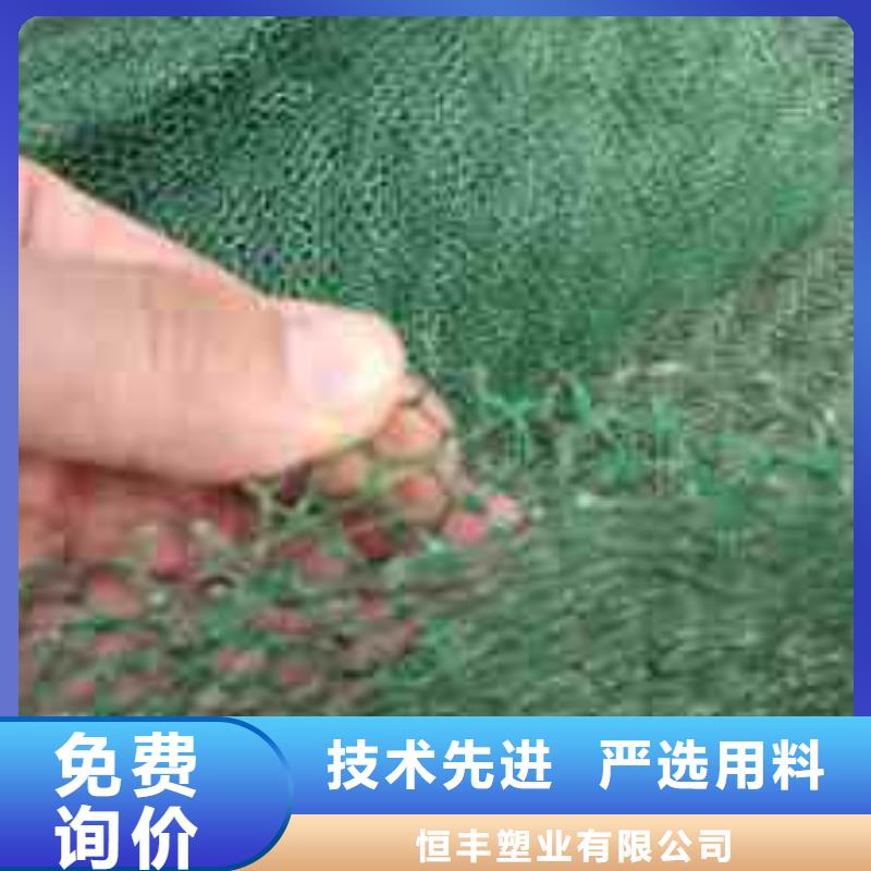 三维植被网,土工滤网工厂自营