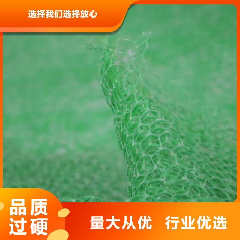 三维植被网双向塑料土工格栅一站式供应
