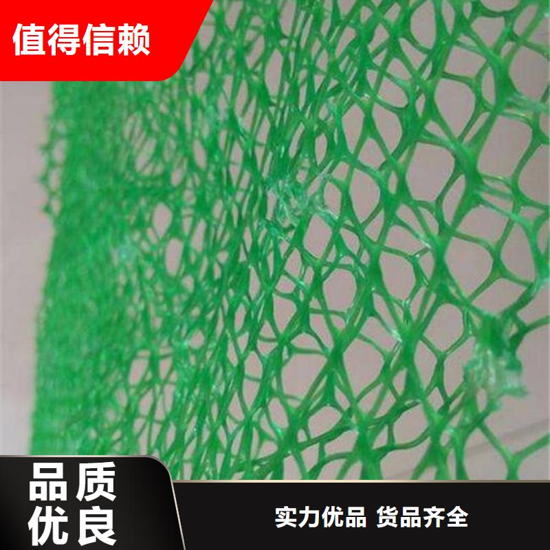 三维植被网护坡技术