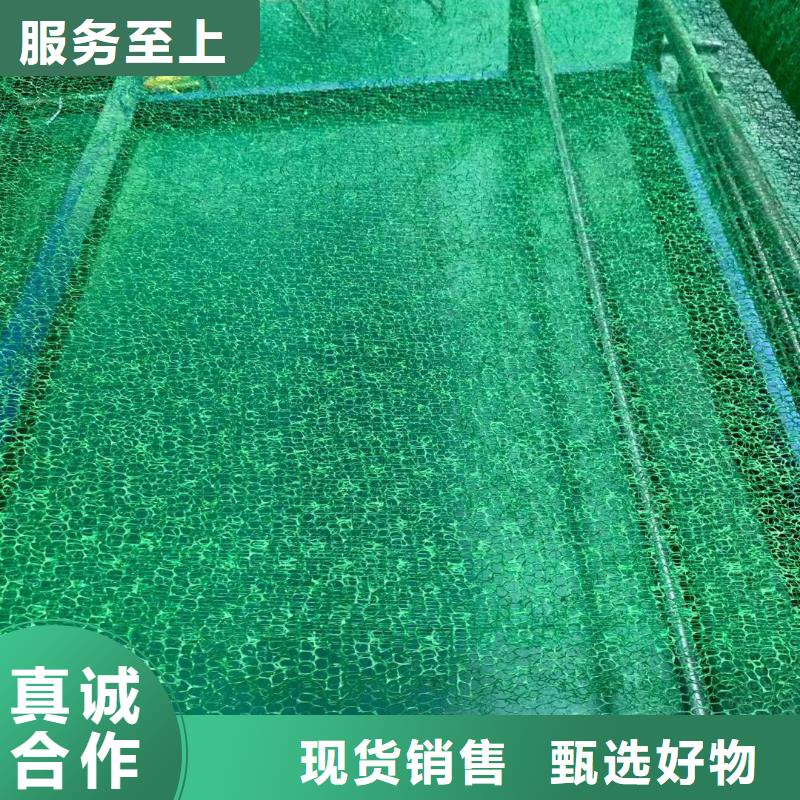 三维植被网HDPE土工膜优选厂商