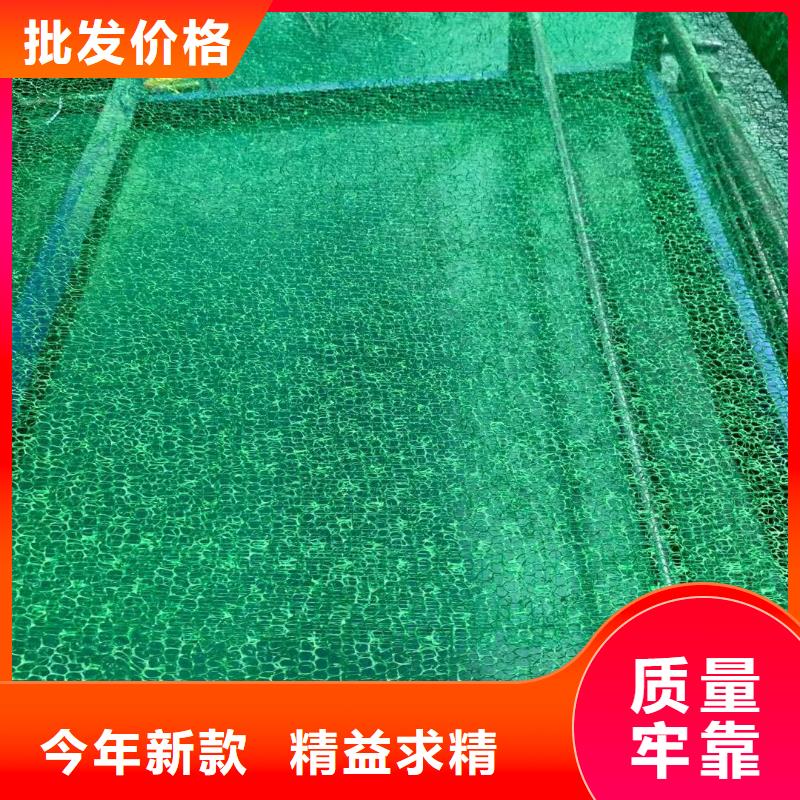 钢塑土工格栅厂家|三维植被网厂家|软式透水管等土工合成材