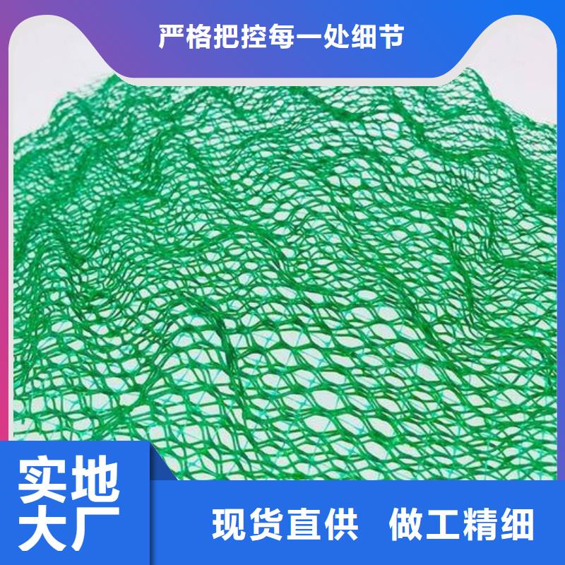 土工格栅-土工布-土工膜-三维植被网-厂家直销