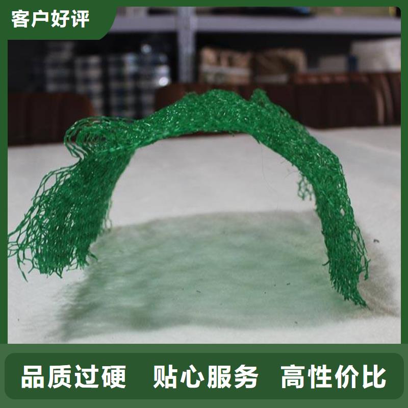 三维植被网钢塑土工格栅批发价格
