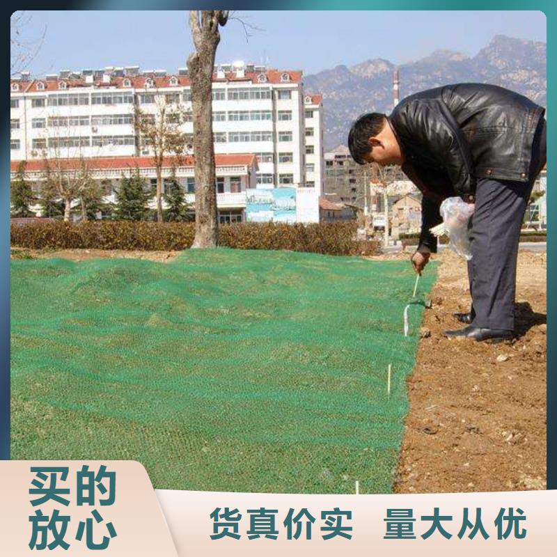 三维植被网-塑料-蓄排水板-双向塑料土工格栅-软式透水管