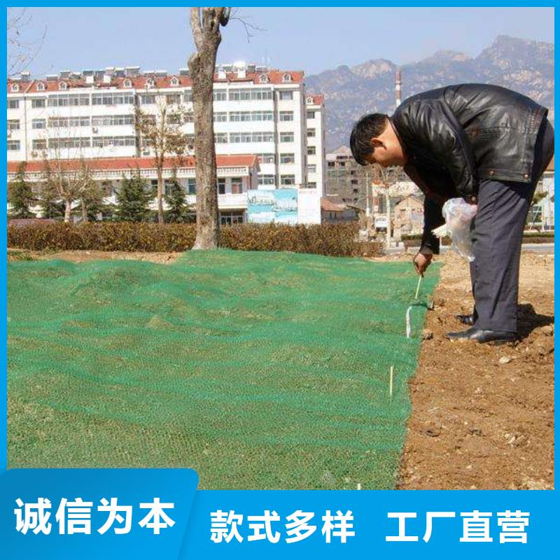 三维植被网生产基地