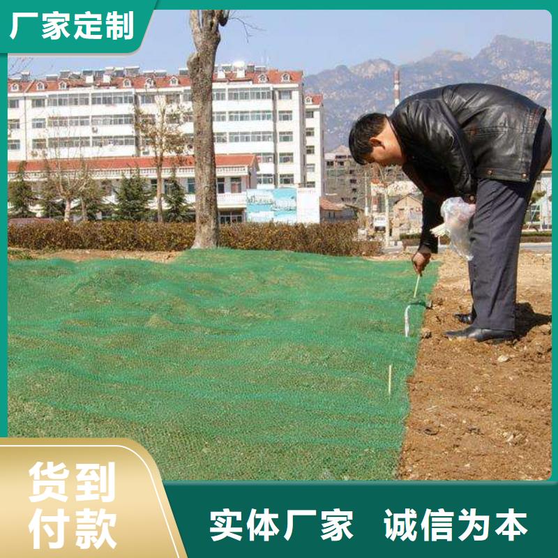 三维植被网钢塑土工格栅批发价格