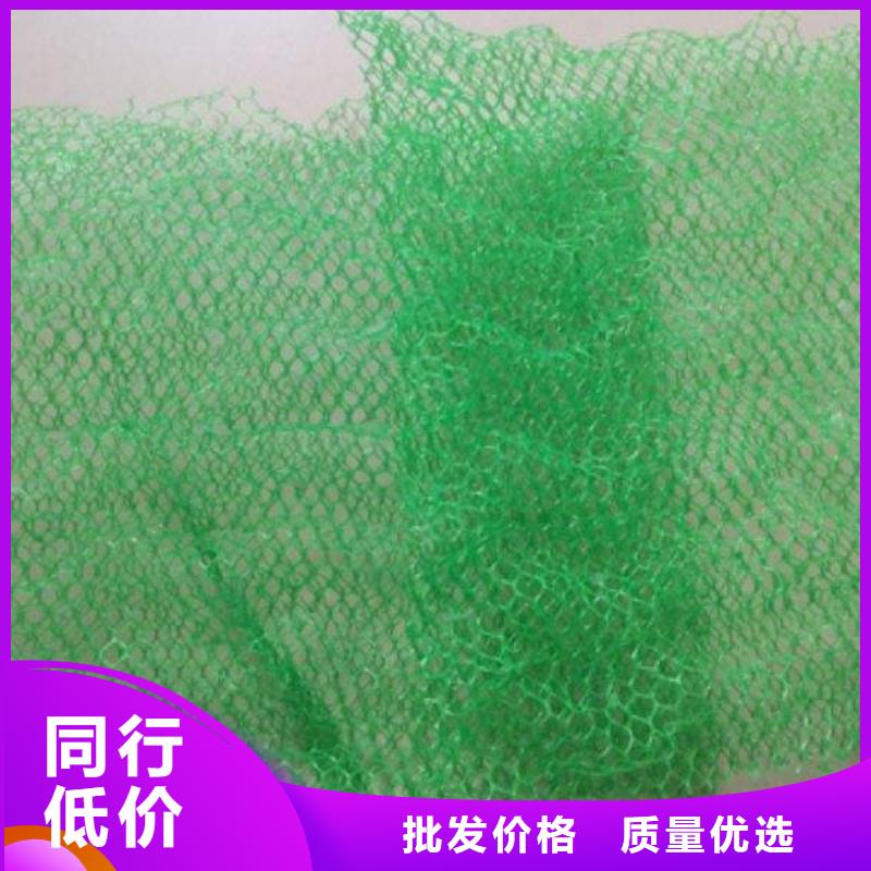 三维植被网生产基地