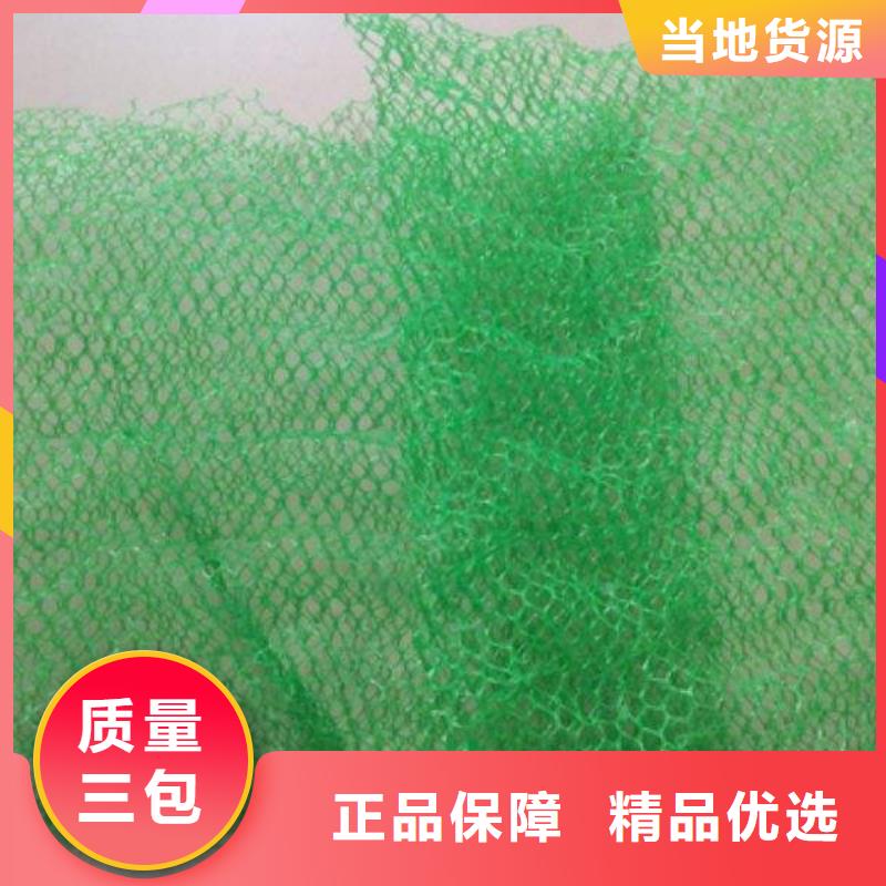 三维植被网双向塑料土工格栅一站式供应