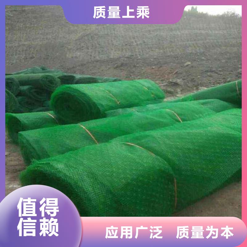 防渗膜价格_膨润土防水毯批发_土工网生产厂家_三维植被网