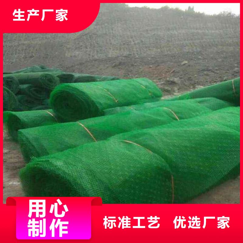三维植被网|三维土工网垫【三维植被网厂家