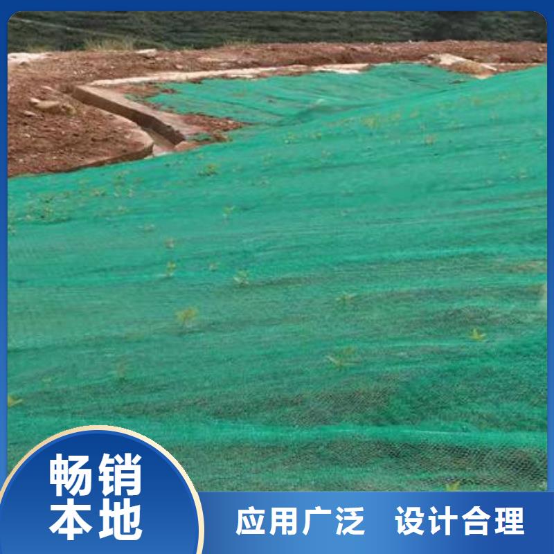 三维植被网钢塑土工格栅批发价格