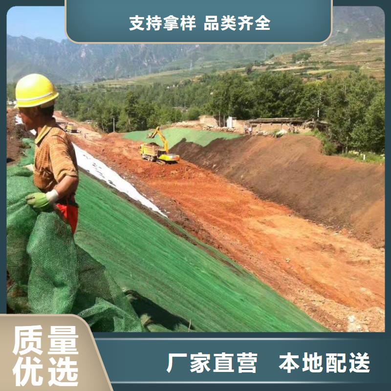 土工格栅-土工布-土工膜-三维植被网-厂家直销