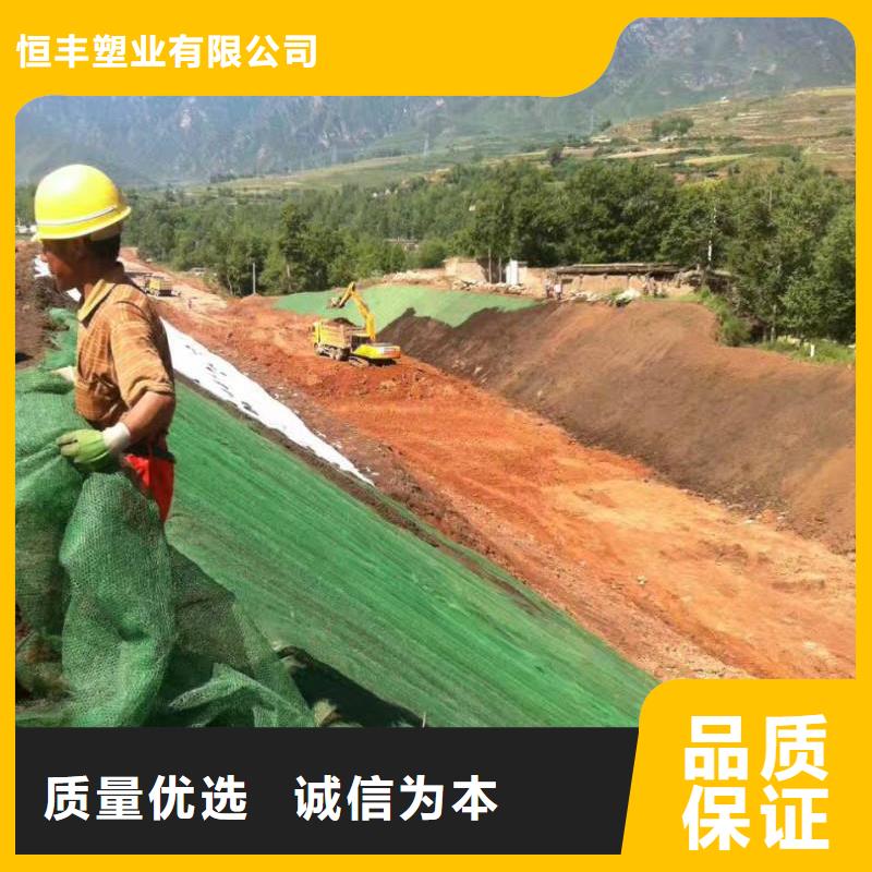 【三维植被网】TPO防水卷材匠心打造