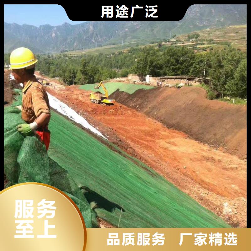 【三维植被网】三维植被网原理,三维植被网施工,特点,图片