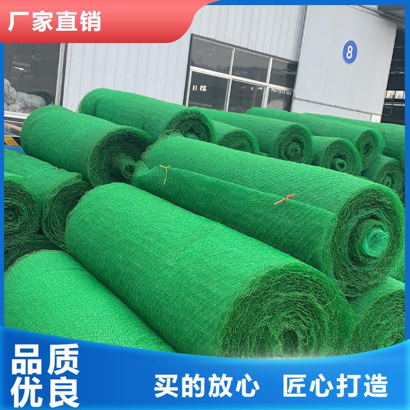 临高县土工格栅-土工布-土工膜-三维植被网-厂家直销