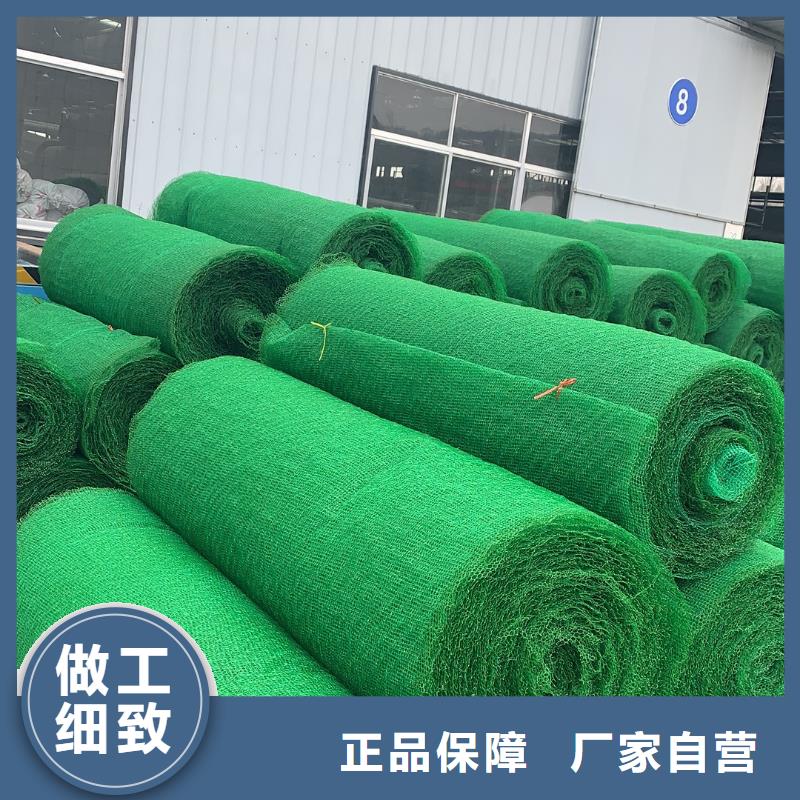 三维植被网护坡技术