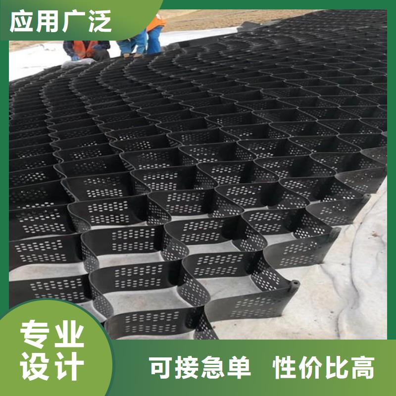 土工格室聚乙烯土工膜质优价廉