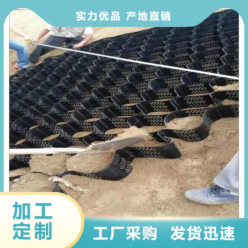 2025土工格室价格免费取样品