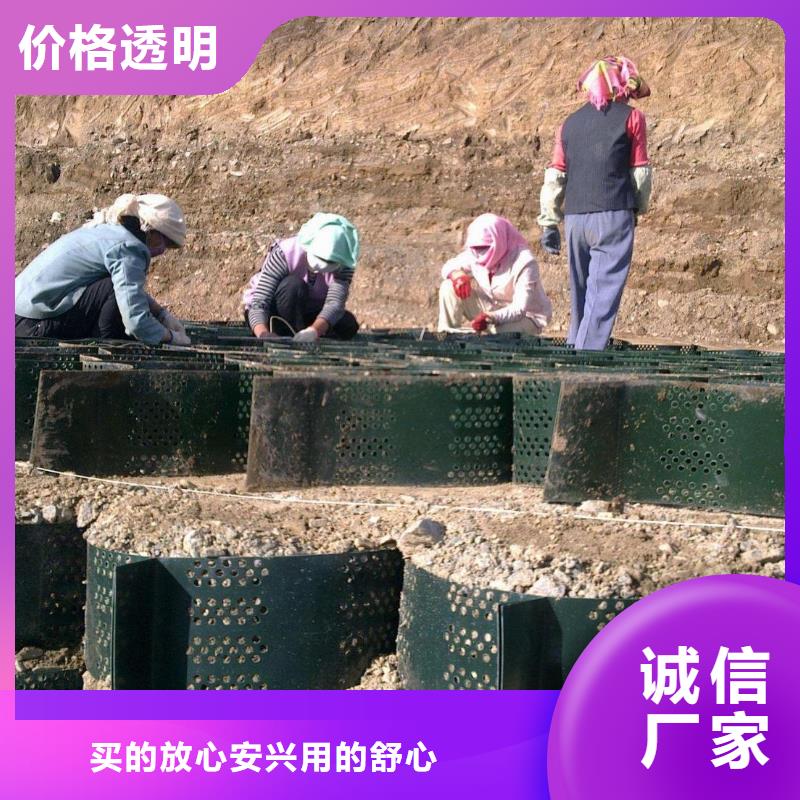 2025土工格室价格免费取样品