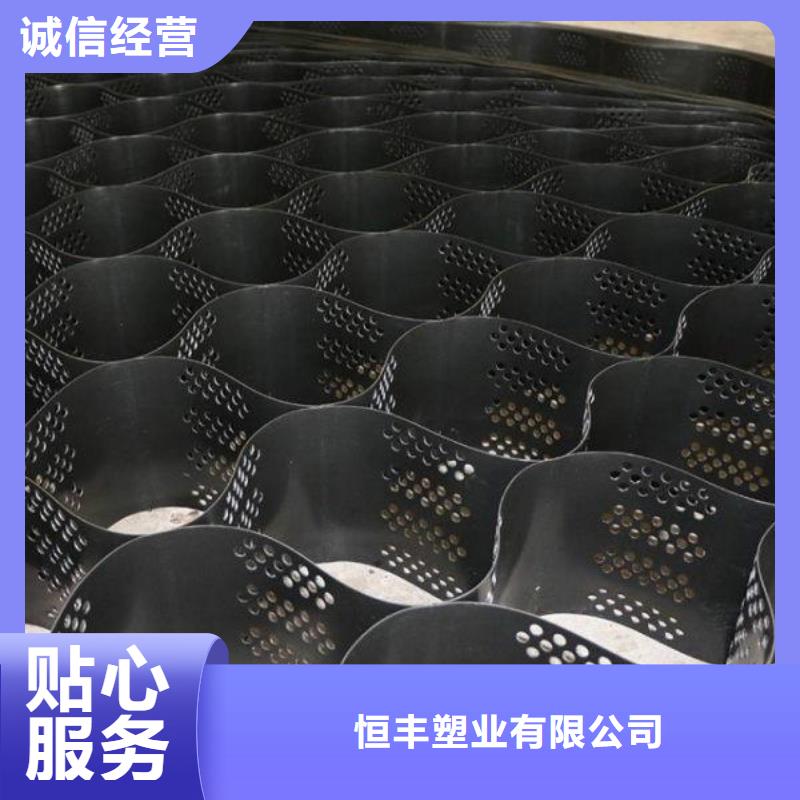 土工格室双向塑料土工格栅厂家直销直供