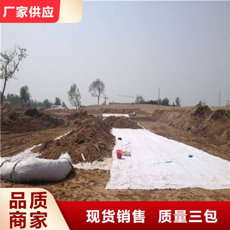垃圾填埋场防渗工程用防水毯哪里有卖-价格多少