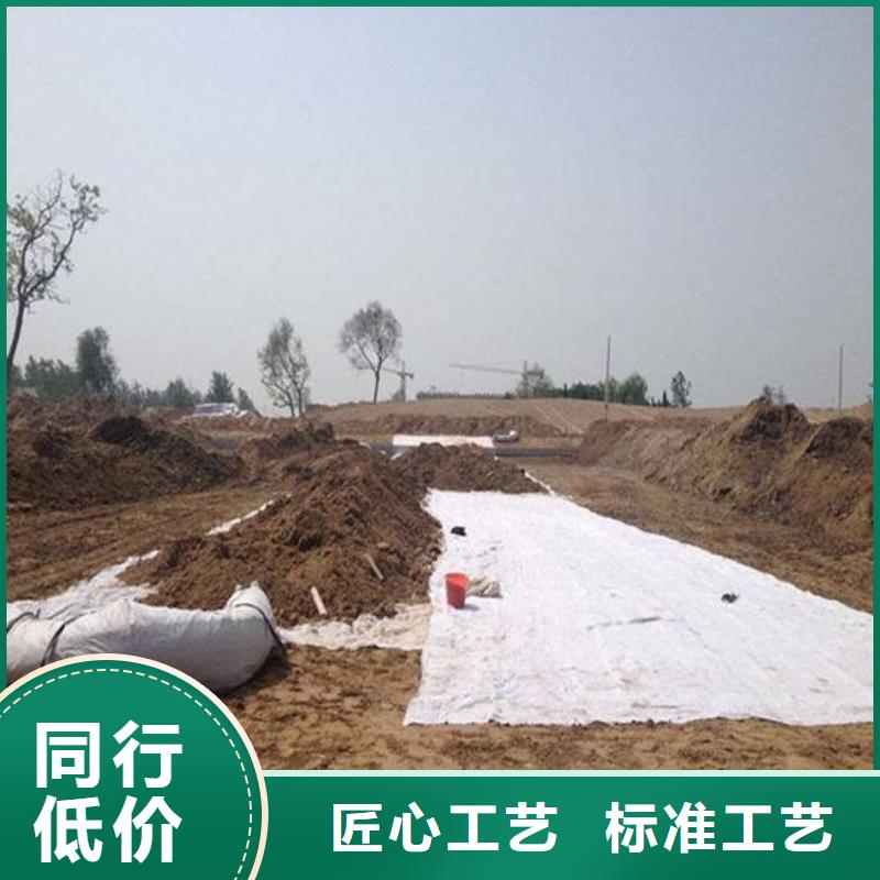 2025膨润土防水毯生产厂家-现货发货