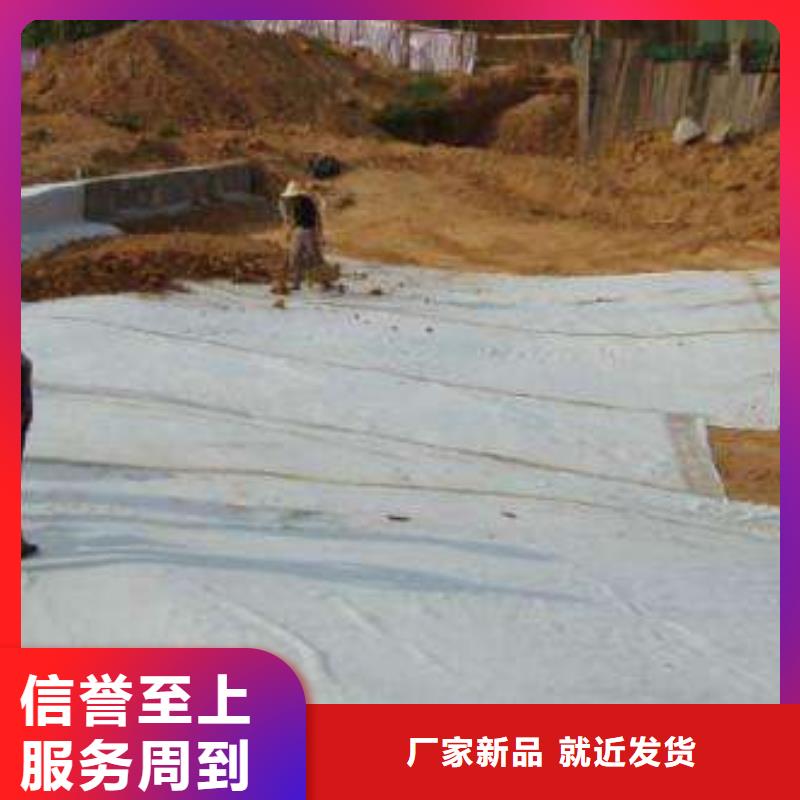 膨润土防水毯(2)-防水毯系列-土工材料生产厂家