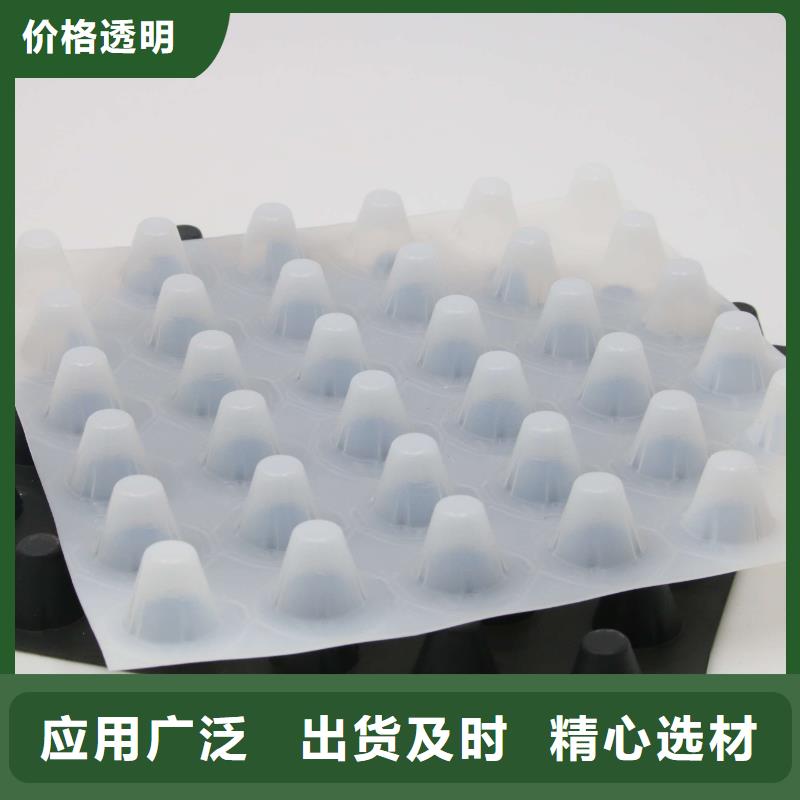 植草格批发-蓄排水板批发-塑料排水板-土工材料厂家-山东亿路通