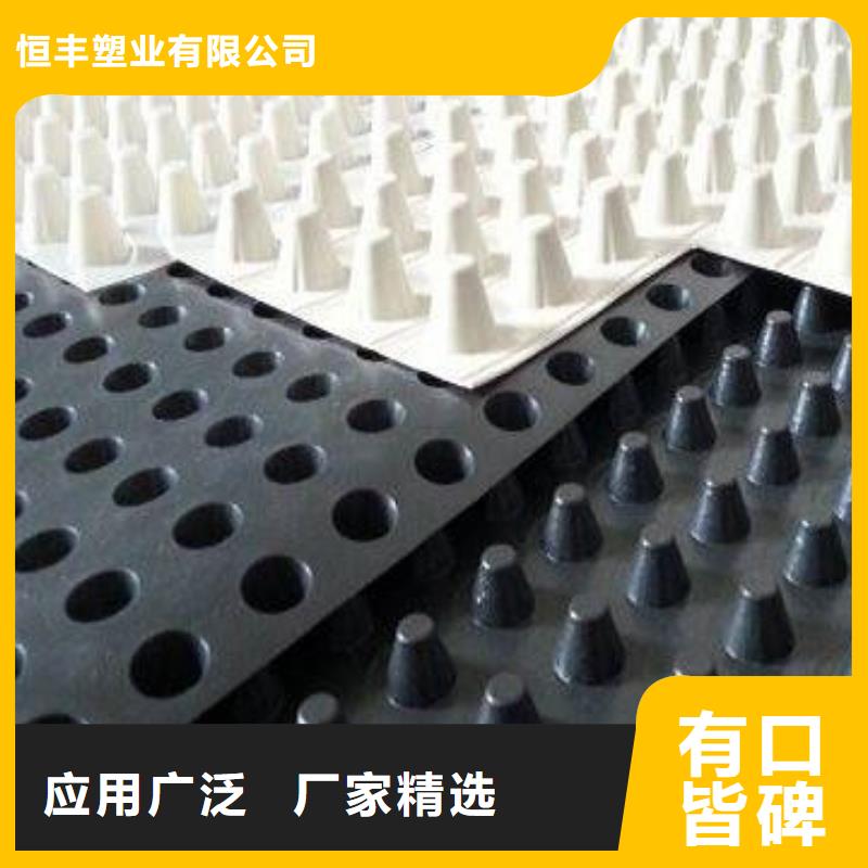 排水板,聚乙烯土工膜严格把关质量放心