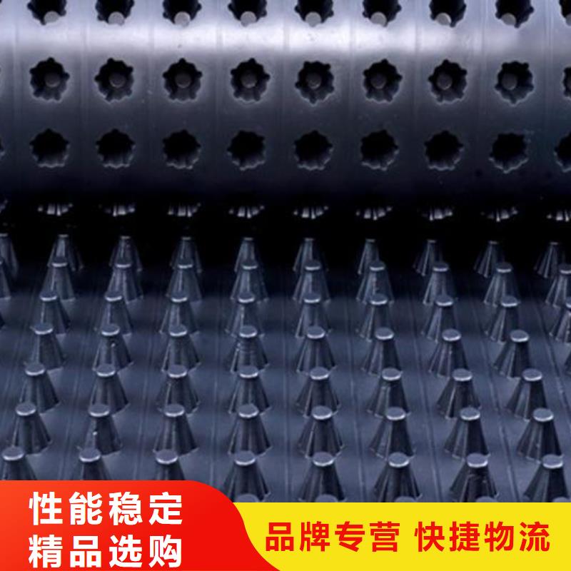 排水板-蓄水板-疏水板-复合防护排水板-凹凸型塑料排水板厂家
