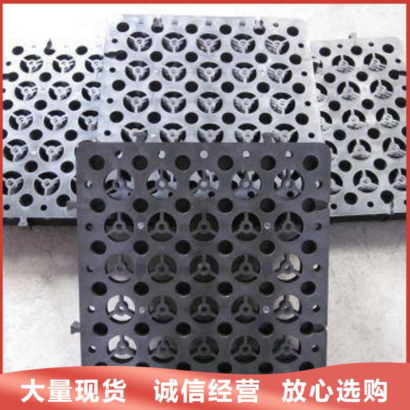 排水板城建土工膜厂家直销规格多样