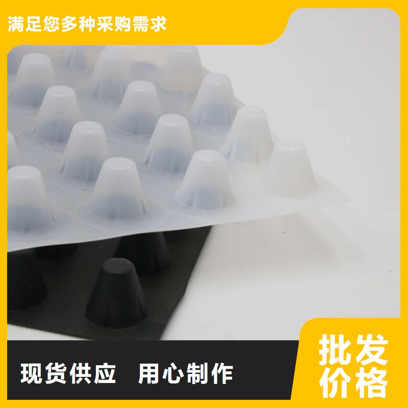 排水板三维植被网按需定制