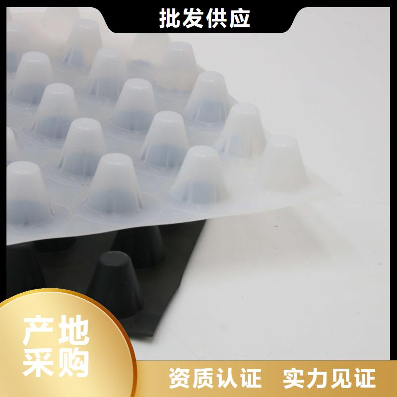 塑料排水板的施工工艺_排水板厂家直销_园林绿化排水板_河道排水板
