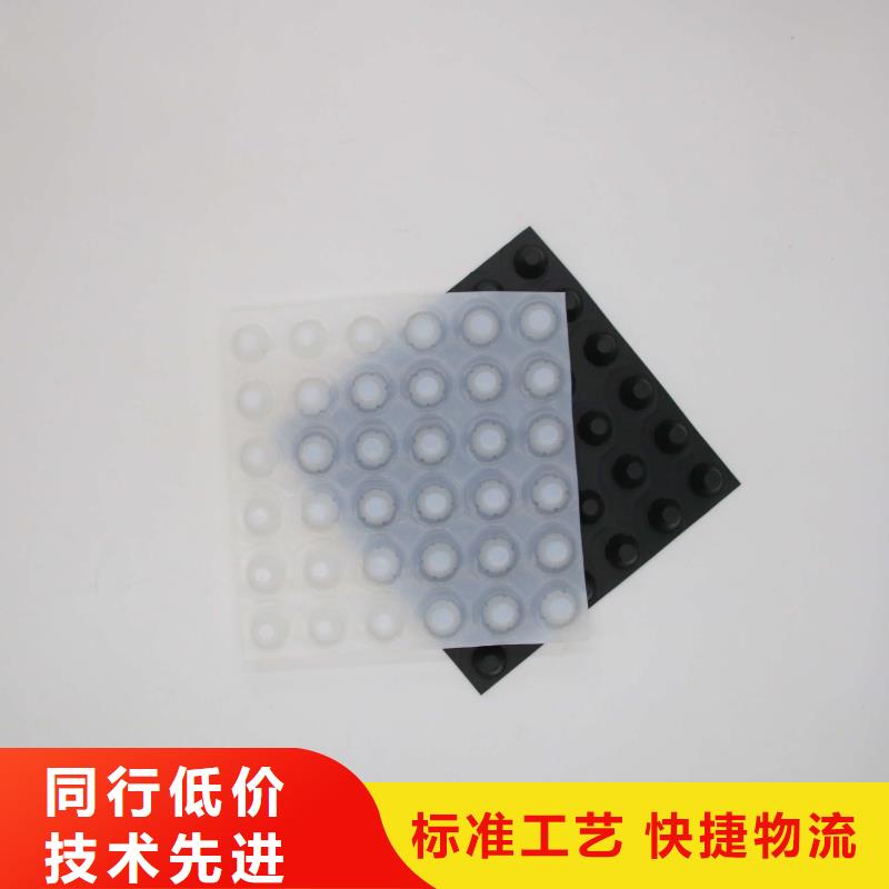 排水板三维植被网按需定制