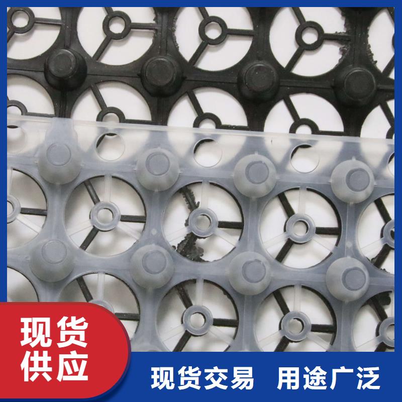 排水板-蓄水板-疏水板-复合防护排水板-凹凸型塑料排水板厂家