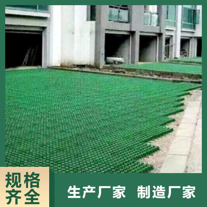 植草格,HDPE土工膜多种款式可随心选择
