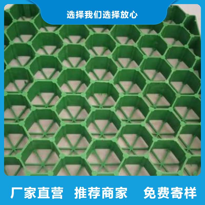 【植草格】涤纶土工格栅服务始终如一