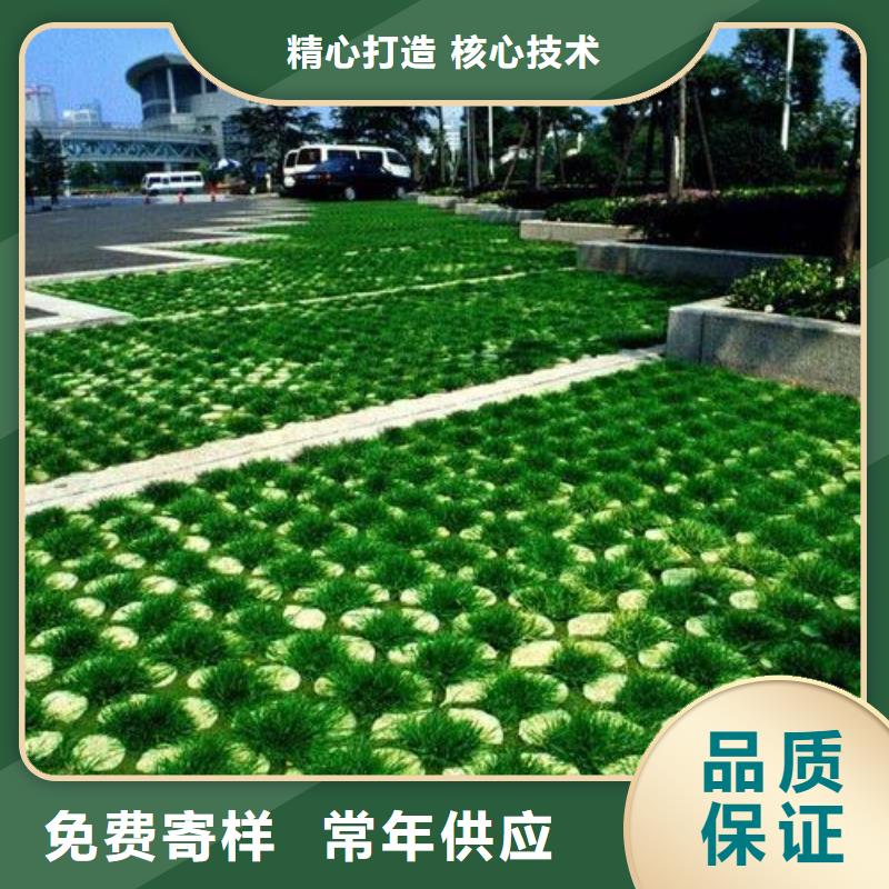 植草格蜂巢格室出货快