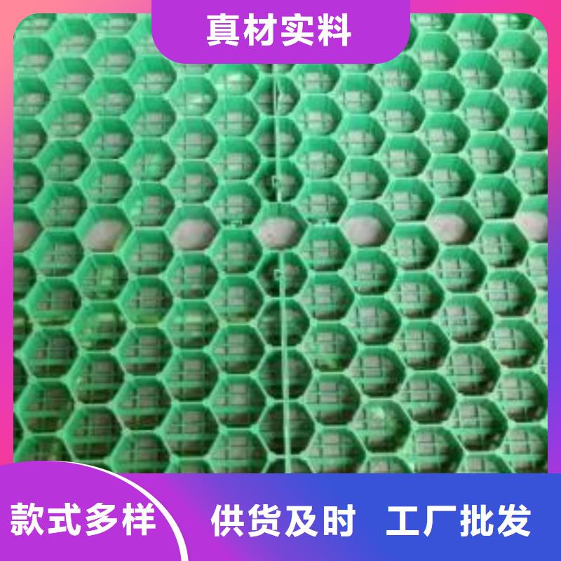 【植草格】涤纶土工格栅服务始终如一