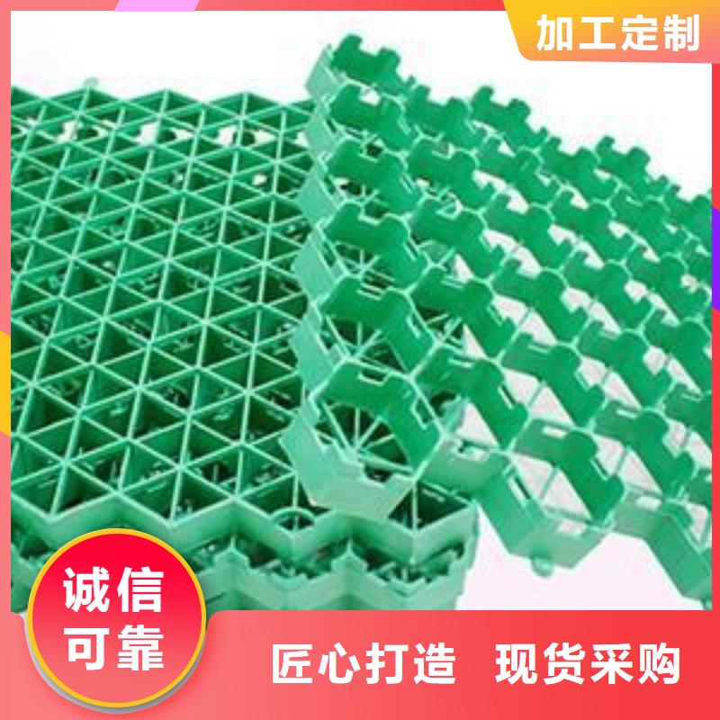 植草格_【土工格室】重信誉厂家