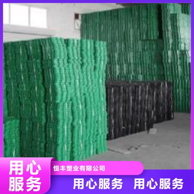 【植草格】涤纶土工格栅服务始终如一