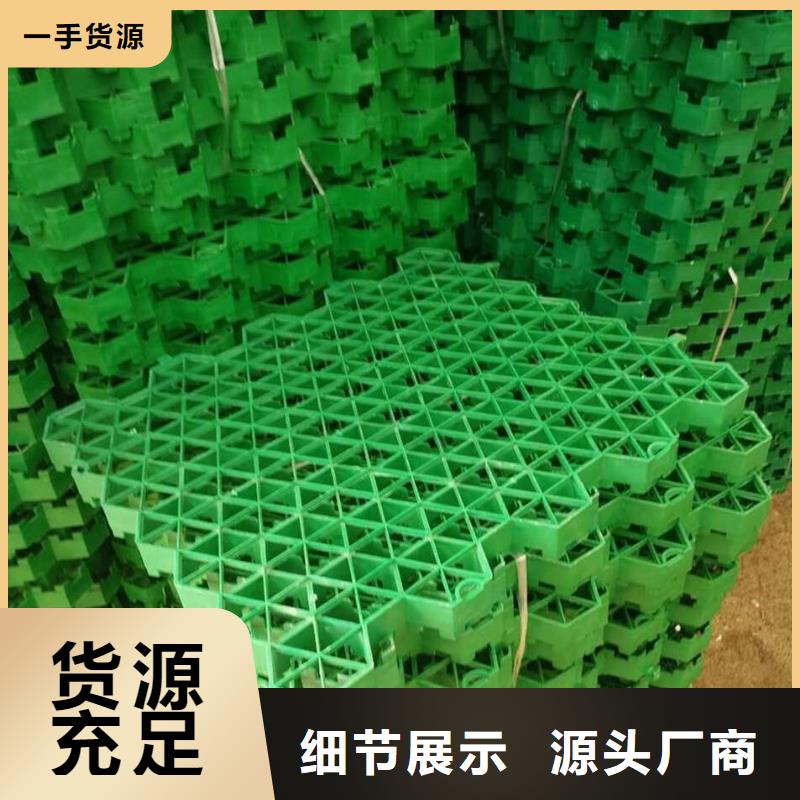 植草格_【土工格室】重信誉厂家